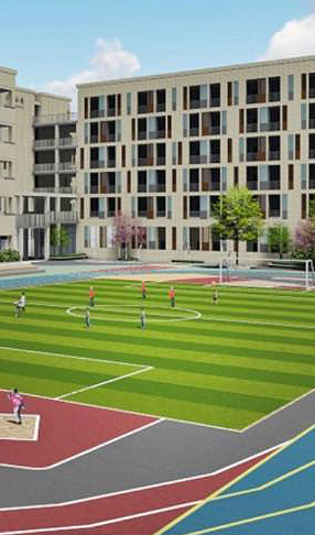 学校